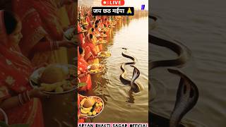 Subah Ka Adbhut Chhath Drishya Surya Ki Kirno Mein Saamp Ne Diya Darshan 🙏#ChhathPuja #BhaktiShorts
