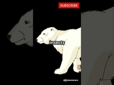 #globalwarming#part4ClimateChange#SaveOurPlanet#EcoFriendly#StudentGuide#shorts#rhymes#shortsviral