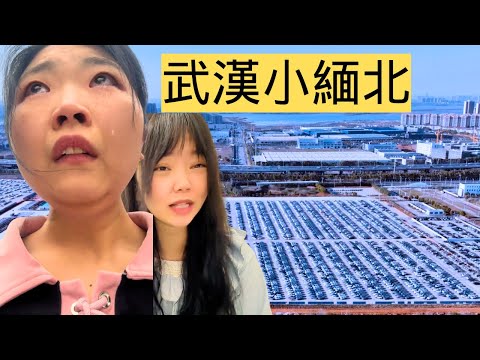 武漢騙局一環扣一環，大學畢業女生防不勝防。