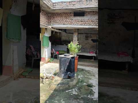 Village Home In Bihar ! #youtube #minivlog #ytshorts #shorts #shortsfeed #trending