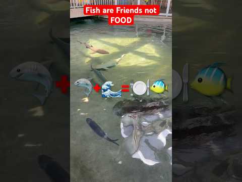 FISH! #like #subscribe #shorts #manifestedit