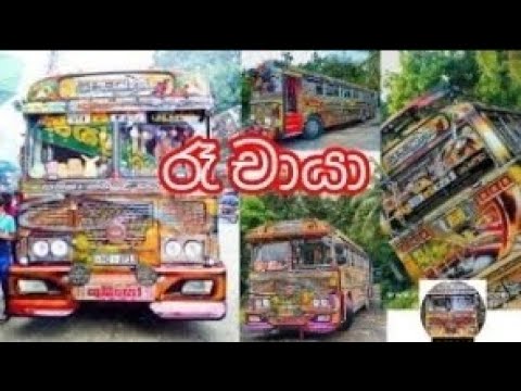 රෑ චායා with kubiyo bus.            #bus #srilanka #dj #sl #kubiyobus #ruchayasong