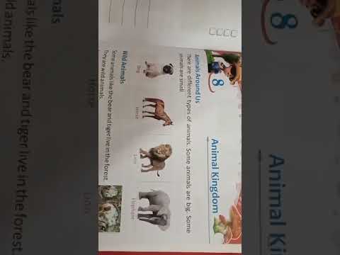 Animal kingdom#evs#trending #subscribemychannel #animalkingdom #anime #food #foodie #viralvideo