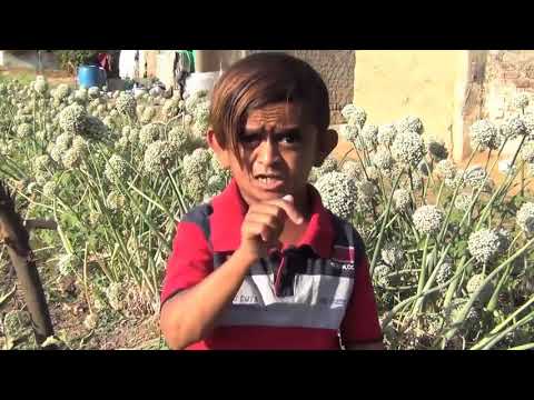 छौटु दादा की सुपर कॉमेडी सुंटीग // chottu dada comedy // super छौटा boy new comedy