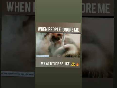 😎.