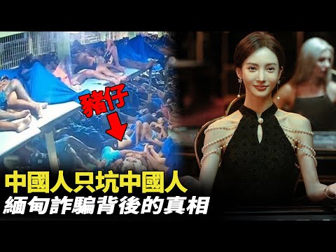 中國人只坑中國人！真實緬甸受害者錄像，死裏逃生！受害者：詐騙老闆都是中國人