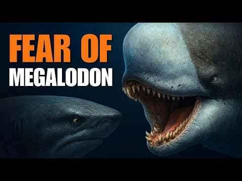Livyatan: The Giant Whale That Humbled Megalodon | Science Documentary