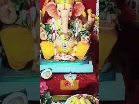 Ganpati Guri🌺🙏🏻 #2025