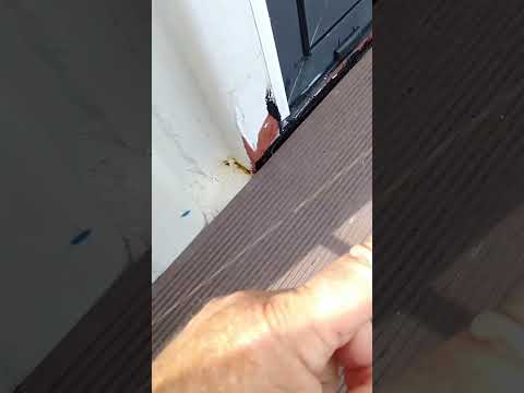 Why does water keep sneaking into my container home? 🧐💧