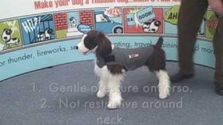 How to put on a Thundershirt