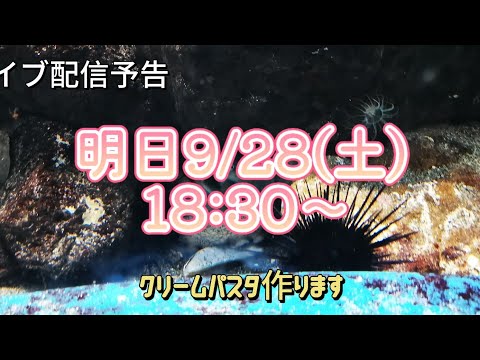 【予告📢】明日9/28(土)18:30~ライブ配信します！🍝