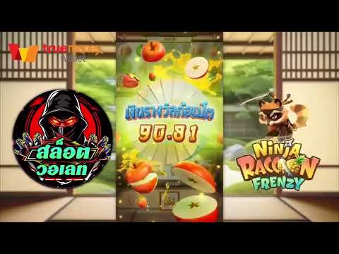 สล็อตวอเลท | สล็อต วอเลท | สล็อต วอ เลท : เกม Ninja Raccoon Frenzy
