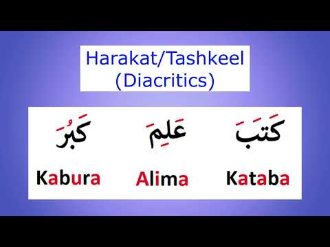 #001 Arabic sentence structure