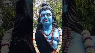 Ho Shambhu Nath 🙏🙏#bhajan #shambhunath #ytshorts #bhakti #sorts