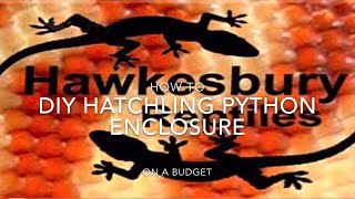 How to DIY basic python setup - ‘click clack’ box