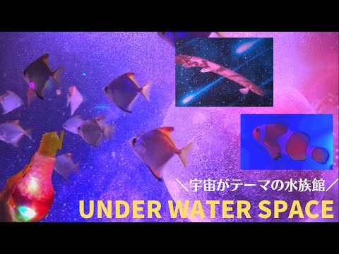 【水族館vlog】横浜の宇宙がテーマの水族館・アンダーウォータースペース【UWS】