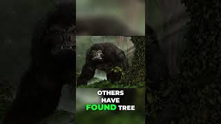 Bigfoot Sightings: Unexplained Evidence Across North America!