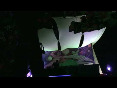 Carbon Based Lifeforms - Photosynthesis