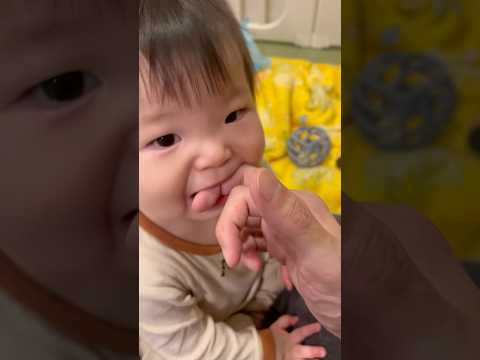 父の指を食べるそうちゃん　#赤ちゃん #赤ちゃんのいる生活 #赤ちゃんのいる暮らし #baby #babyshorts #そうちゃん