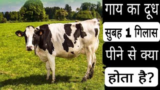 गाय का दूध पीने से क्या होता है / Cow Milk Health Benefits in Hindi / Benefits Of Cow Milk / Health