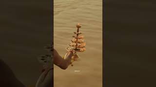 Follow me 🙏🕉️ #mahshivratri #song #mahashivartricommingsoon #shivratri #shorts #shortvideo #trend