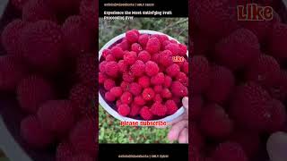 Experience the Most Satisfying Fruit Processing Ever 🍉🍍 #FruitProcessing #SatisfyingASMR