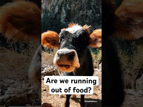 Are we running out of food? #fyp #university #food #research #viralvideo #academia #science #ai #phd