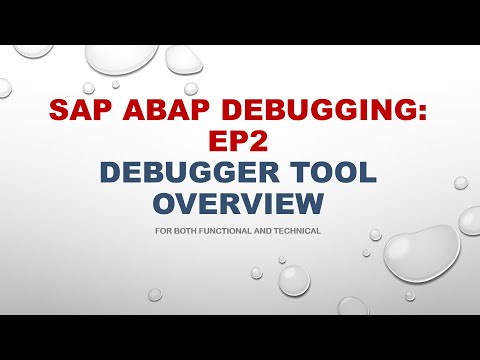 SAP ABAP Debugging EP2: Debugger Tool Overview (For Both Functionals and Technical)