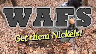 Get them Nickels - Metal Detecting - WAFS