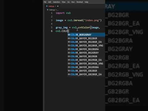 Convert a image into a grayscale Image using OpenCV