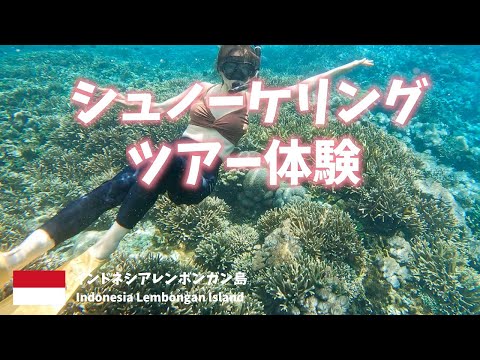 【インドネシアバリ島旅行】レンボンガン島でシュノーケリング体験！Klookアプリで予約1人4000円！[Indonesia Bali trip] Snorkeling in Lembongan