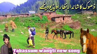 New dukhi gojri pahari song 2024,awaz tabassum wangi,new pahari geet,dukhi pahari song 2024, jk geet