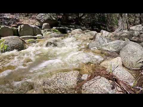 Divine Love - Reiki - Energy Transmission Infused Creek During the Eclipse plus 528 hz music