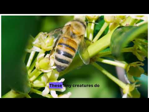 Amazing Facts About Bees 🐝 | Why Pollinators Are Essential for Life on Earth!