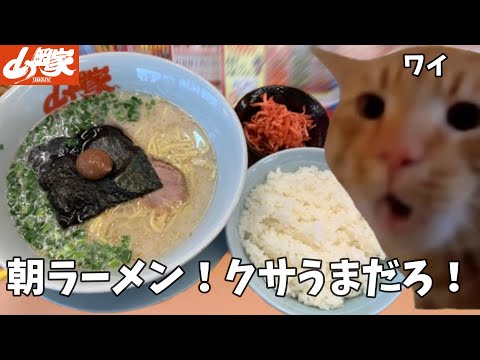 【山岡家】朝ラーメン？？？ライスと替え玉も頼んで優勝しろ！！という話【クセになる味】#猫ミーム  #猫マニ