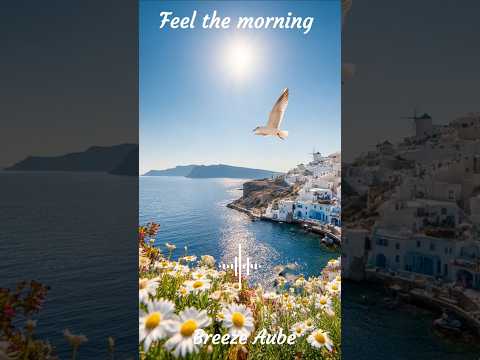 ✨️📀 Spotify ▶️ Feel the morning 🫧🎶🕊️ #relax  #relaxing #beautiful #scenery
