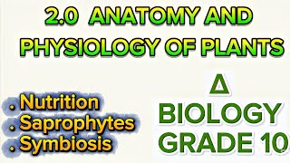STRAND 2.0: Anatomy and Physiology of Plants | Plant Nutrition & Photosynthesis | Grade 10 Biology