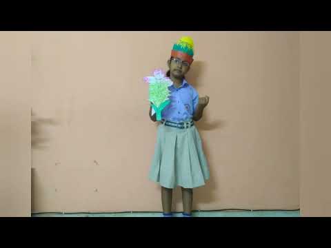 speaking activity on turmeric leaf and turmeric flower for kids, children