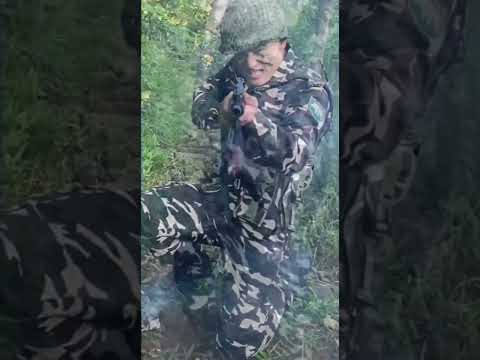 sashastra Seema Bal \\armed force\\ (CAPF)