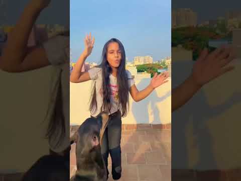 Kanni dogs dance company | girl dance with kanni dog
