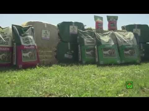 Standlee Premium Western Forage® Product Mix
