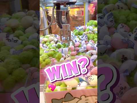 Chiikawa Claw Machine! 💖Usagi? Hachiware? Momonga?