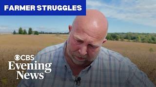 Soybean farmers share their struggles amid U.S.-China trade war