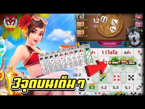 3จุนบนเต็มๆไฮโลไทย|hilothai :