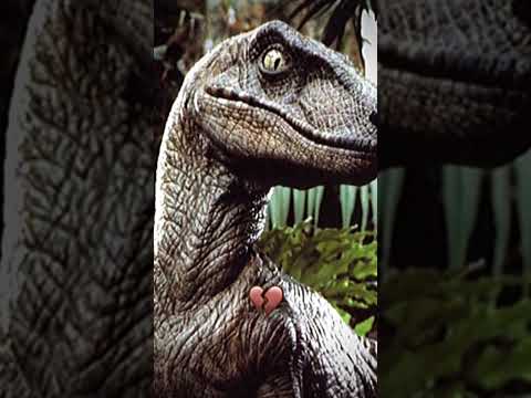 eu sou o único que acha o velociraptor correto fofo?