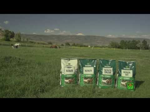 Standlee Premium Western Forage® Cube Products
