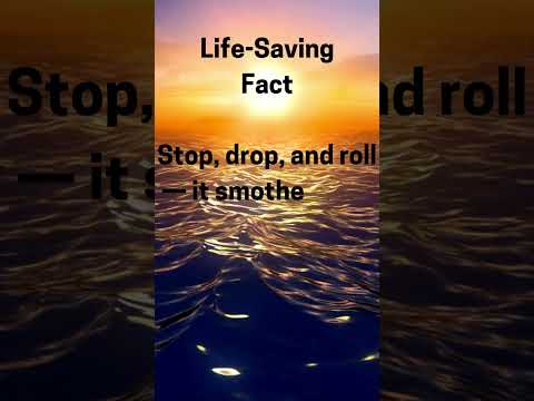 Facts you need to know!