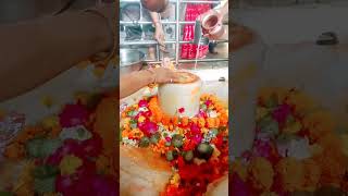 #devonkedevmahadevsongs #mahadevststus #travel #shiv #jaishreeram #omnamahshivaybhajan #love #bhajan