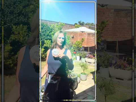 How to cope in a heatwave!