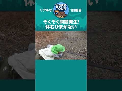 こけちゃった　#shorts